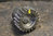 S&S Pinion Gear, Yellow, BT late 77 - 89